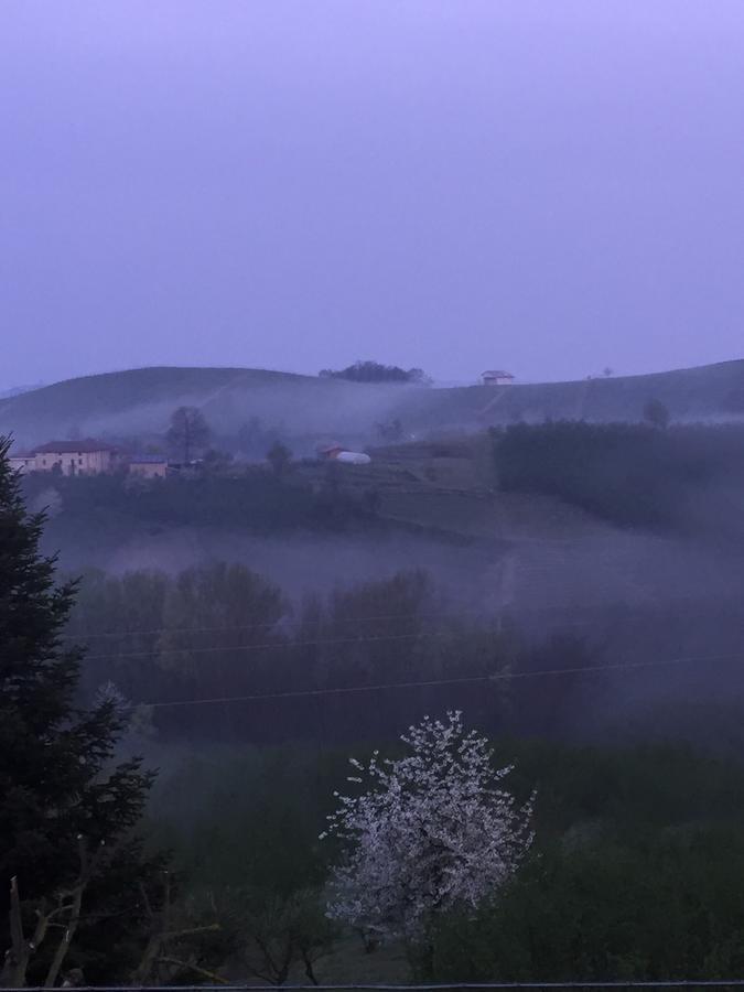 Cascina Baresane Bed & Breakfast Alba  Exterior photo