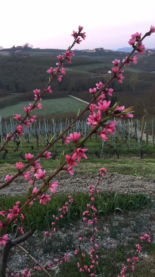 Cascina Baresane Bed & Breakfast Alba  Exterior photo