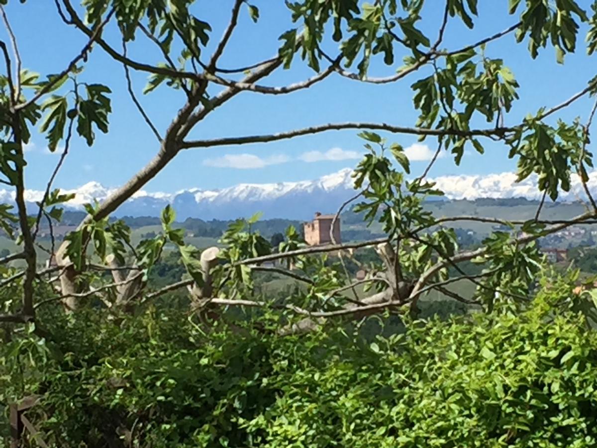 Cascina Baresane Bed & Breakfast Alba  Exterior photo